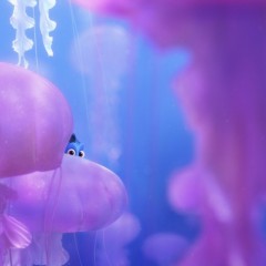 Finding Dory (Posters)